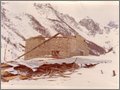 riccio 2.jpg, 482